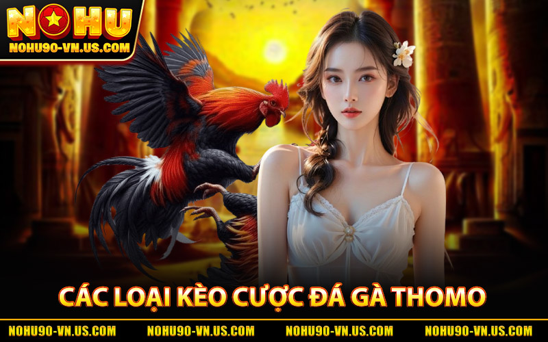 Đá Gà Thomo - Trải Nghiệm Kịch Tính Mỗi Trận Đấu Tại Nohu90 2 Các Loại Kèo Cược Đá Gà Thomo Hot Nhất
