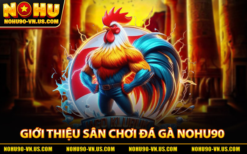 Giới Thiệu Sân Chơi Đá Gà Nohu90
