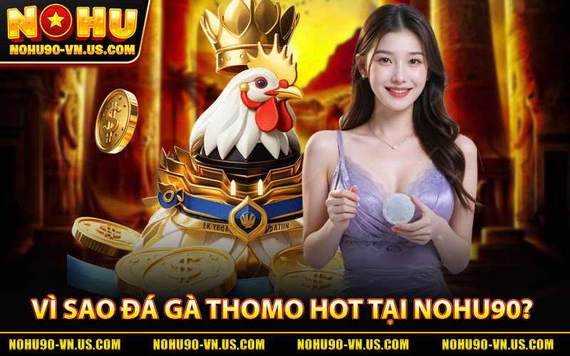 Đá Gà Thomo - Trải Nghiệm Kịch Tính Mỗi Trận Đấu Tại Nohu90 1 Vì Sao Đá Gà Thomo Được Ưa Chuộng Tại Nohu90?